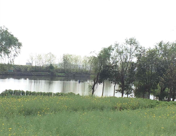 QQ图片20160409222859_副本小.jpg