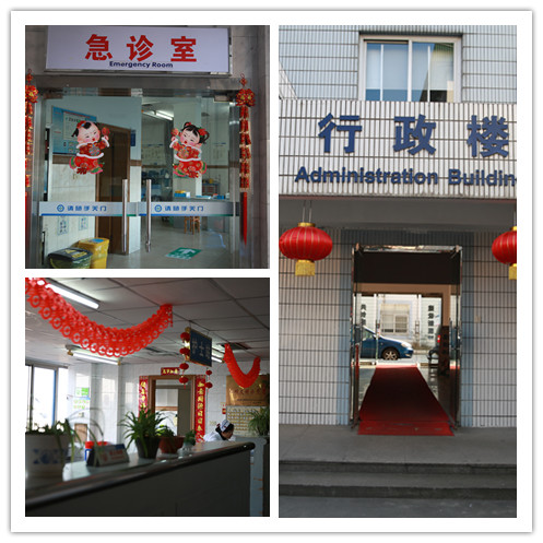 F:\工作\通讯报道\2017年1月\年味\拼图\initpintu6_副本.jpg